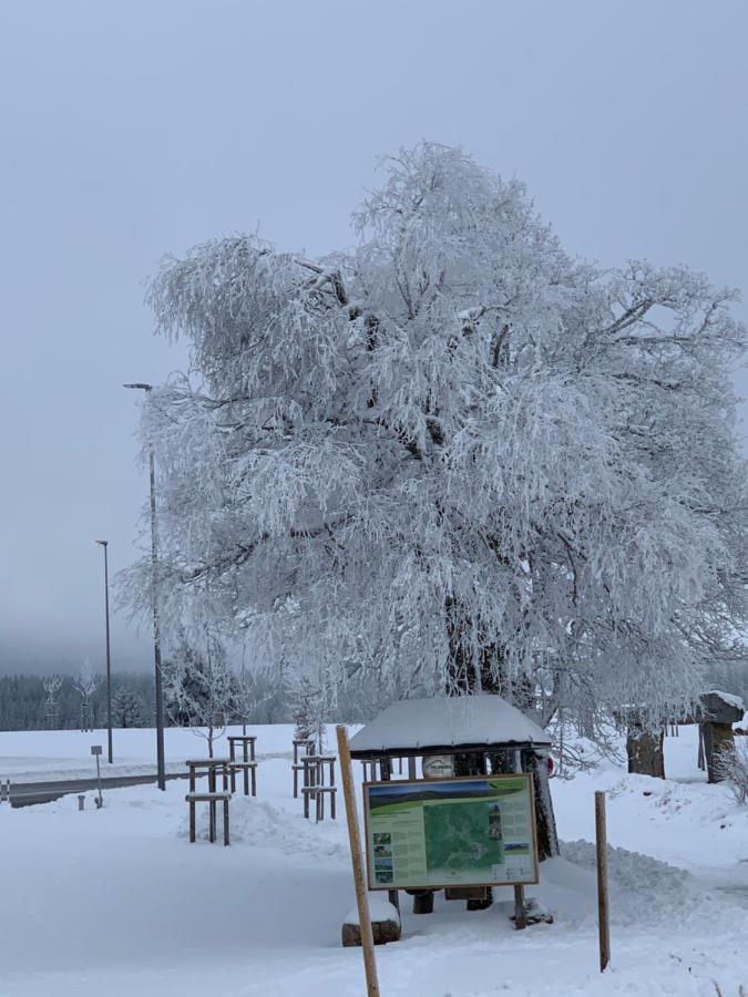 Ferienwohnung Heimweg Feldberg  Eksteriør bilde